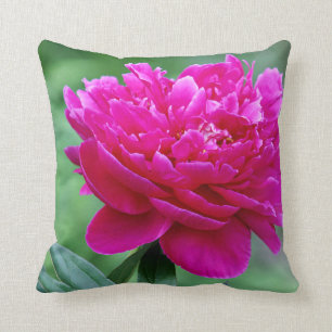Pink peony cushion