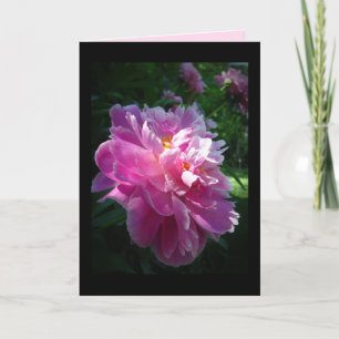 Pink Peony flower, Blank Greeting Card