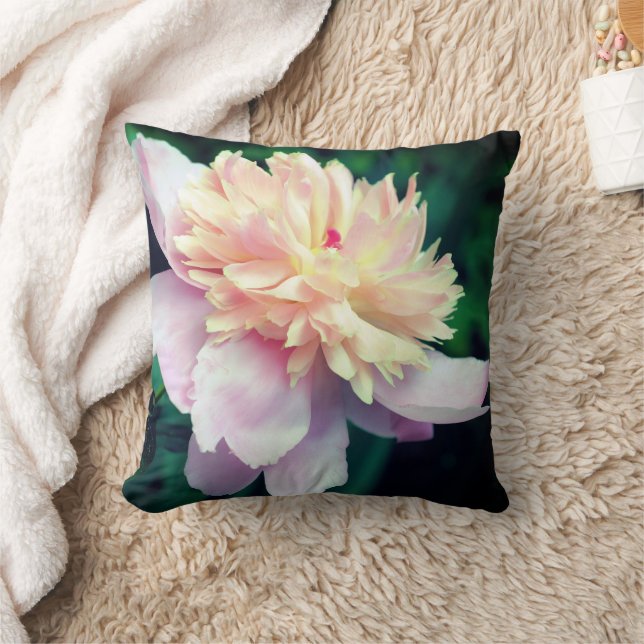 Pink Peony Flower In Bloom Close Up  Cushion (Blanket)