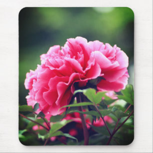 Pink Peony Flower in the Garden-33333 Mouse Pad