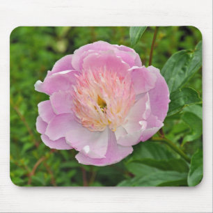 Pink peony flower mouse pad