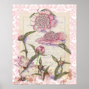 Pink Peony Flower Pen and Ink Art Collage Drawing Poster