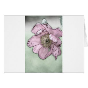 Pink Peony Flower Sketch