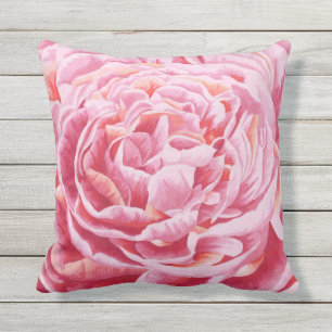 Pink Peony Flowers Closeup Illustration Cushion
