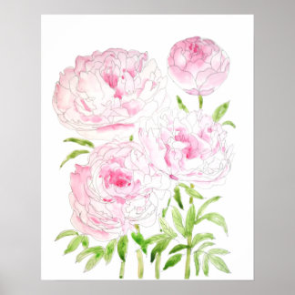 pink peony flowers  watercolor and ink poster