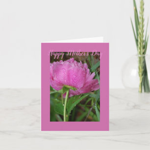 Pink Peony Folded Greeting Card
