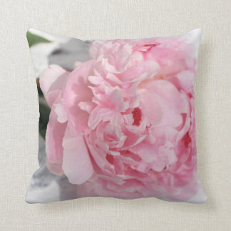 Pink peony, garden pillow