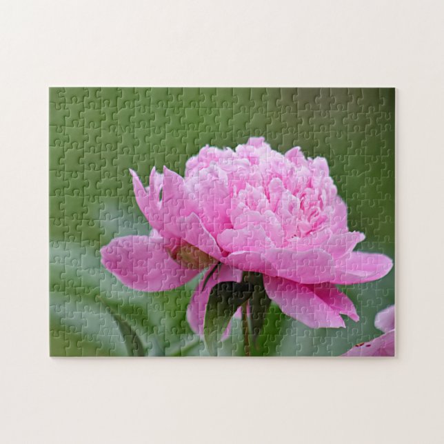 Pink peony jigsaw puzzle (Horizontal)