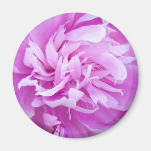 Pink Peony - Magnet