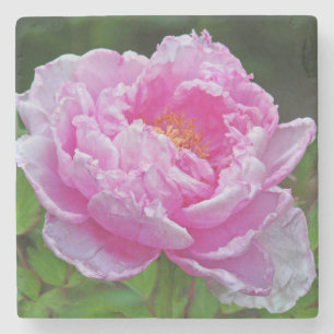 "PINK PEONY" MARBLE COASTER