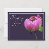 Pink Peony Navy Colour Background Thinking Of You
