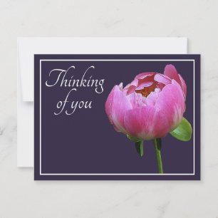 Pink Peony Navy Colour Background Thinking Of You Postcard