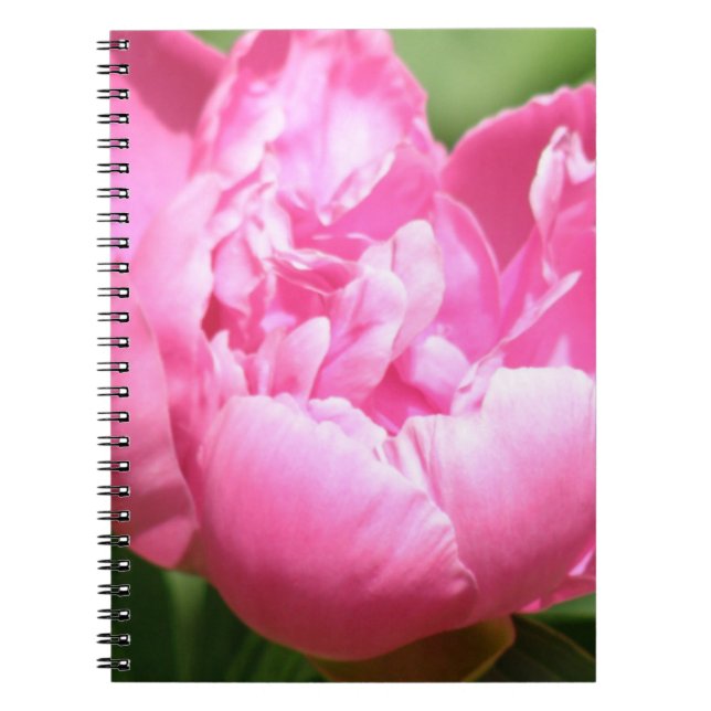 Pink Peony Notebook (Front)
