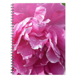 Pink Peony Notebook