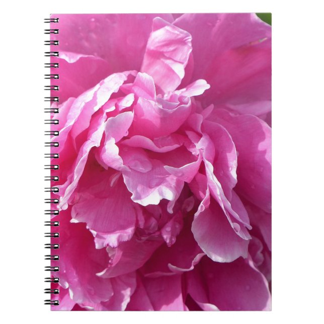 Pink Peony Notebook (Front)