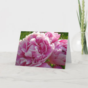 Pink Peony photo cottage farmhouse floral garden Card