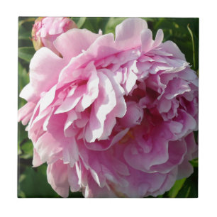 Pink Peony photo cottage farmhouse floral garden Ceramic Tile