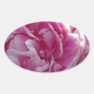 Pink Peony photo cottage farmhouse floral garden Oval Sticker