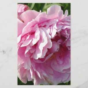 Pink Peony photo cottage farmhouse floral garden Stationery
