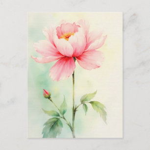 Pink Peony Postcard