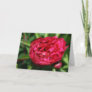 Pink Peony Rose Anniversary Card