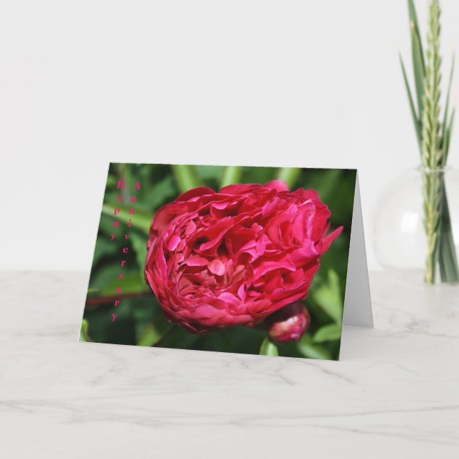 Pink Peony Rose Anniversary Card (Front)