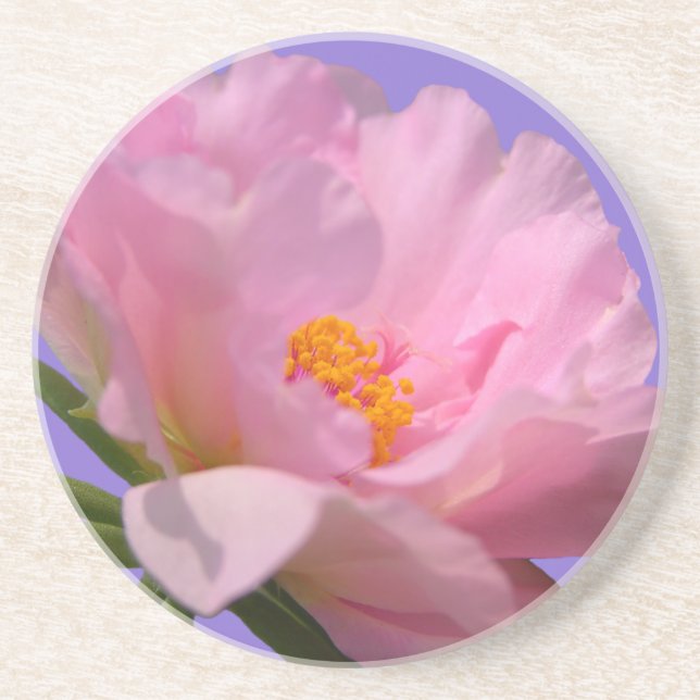Pink Peony Sandstone Coaster (Front)