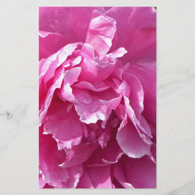 Pink Peony Stationery (Front)