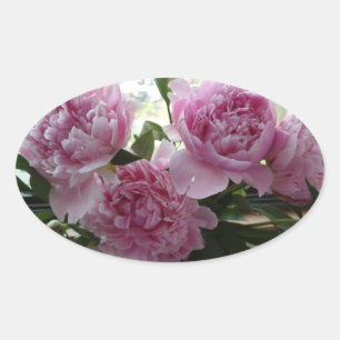 Pink Peony Stickers