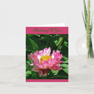 "PINK PEONY/THINKING OF YOU" NOTECARD (PHOTOG)