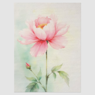 Pink Peony Tissue Paper