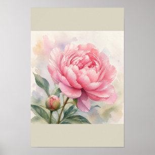 Pink Peony Watercolor Botanical Wall Art