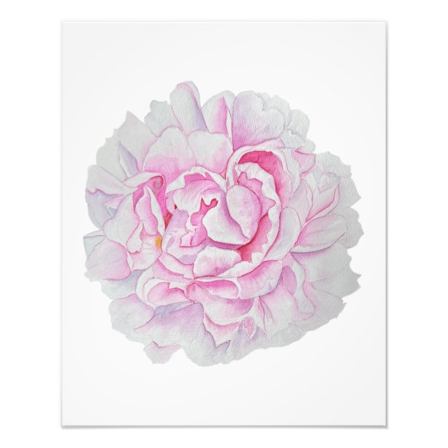 Pink Peony Watercolor Flower Poster (Front)
