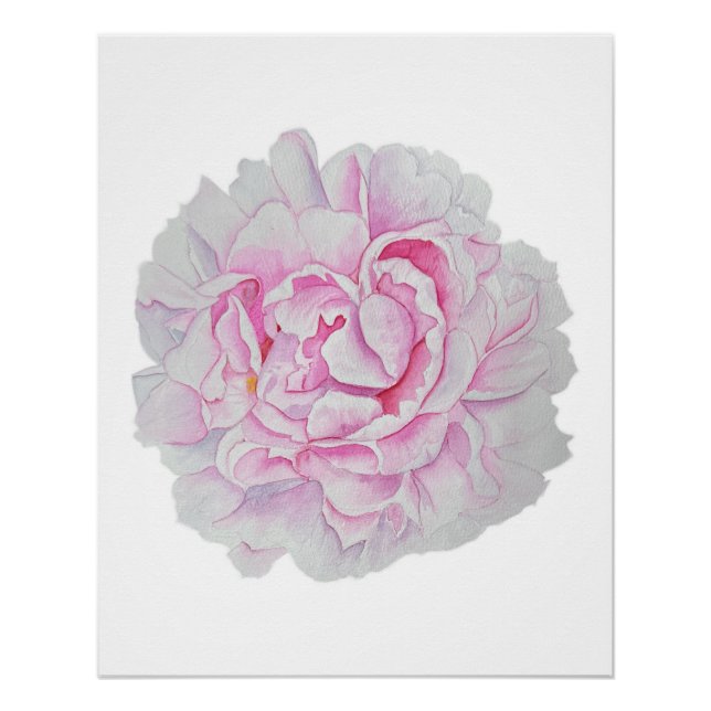 Pink Peony Watercolor Flower Poster (Front)