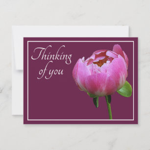 Pink Peony Wine Colour Background Thinking Of You Postcard