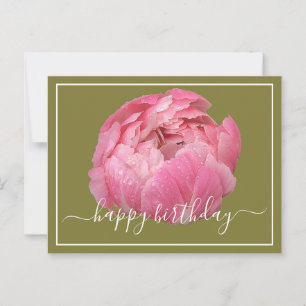Pink Peony With Dew Drops Green Backdrop Birthday Postcard
