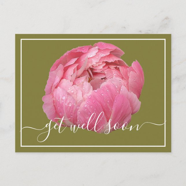Pink Peony With Dew Drops Green Backdrop Get Well  Postcard (Front)