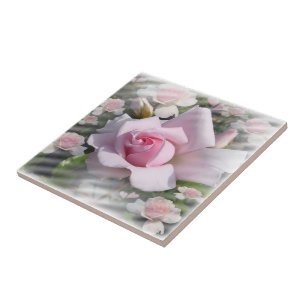 Pink Perfection # 2 ~ Ceramic Tile