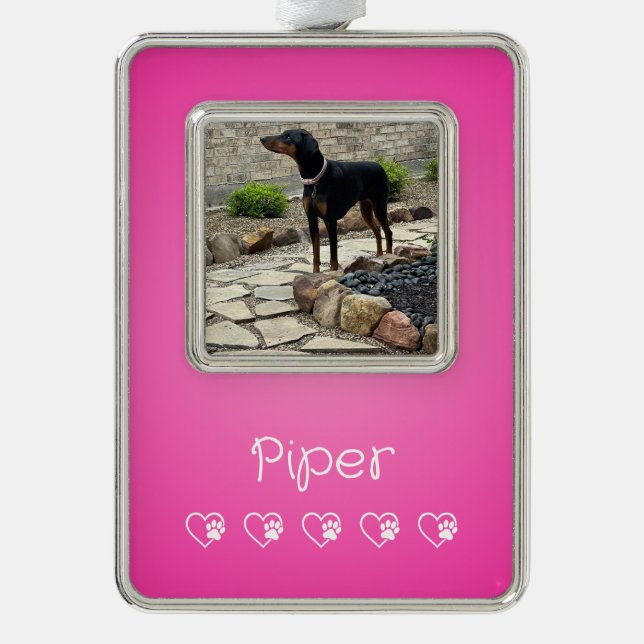Pink Pet Photo Ornament Framed, Dog Lovers (Front)