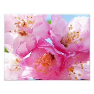 Pink Petal Inspiration Photo Print