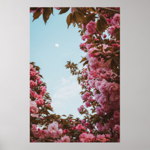 Pink petaled flowers poster