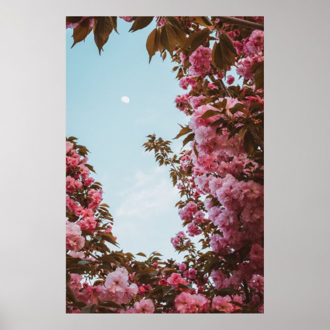 Pink petaled flowers poster (Front)
