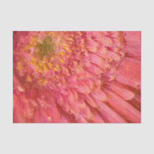 Pink Petals 10lb Tissue Paper