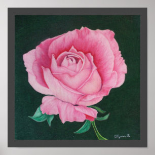 Pink Petals 12"x12" Print