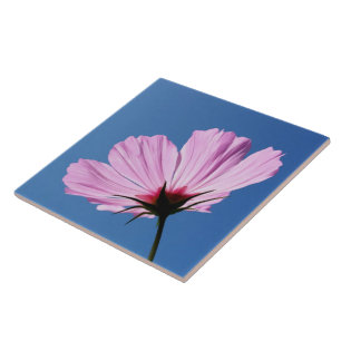 Pink petals ceramic tile