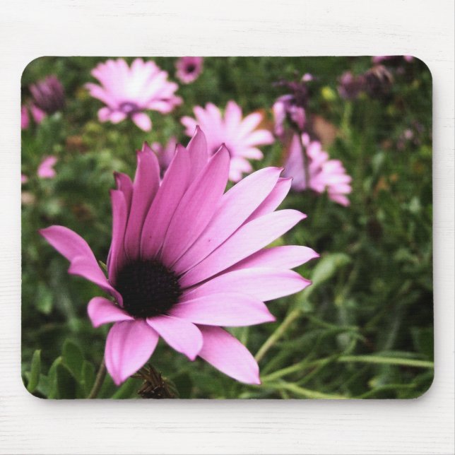 Pink Petals Flower Mousepad (Front)