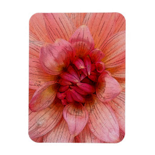 pink petals magnet