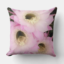 pink petals of the desert