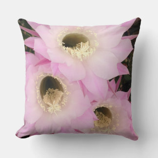 pink petals of the desert cushion