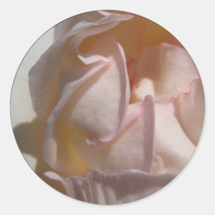 Pink Petals Rose Wedding Envelope Seal
